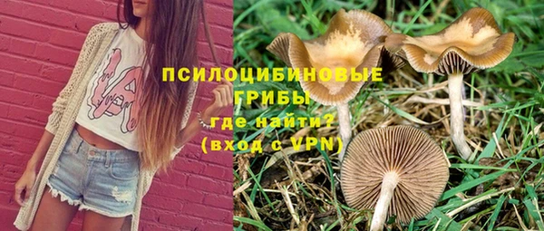 ешки Армянск