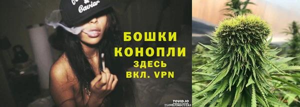 СК Аркадак