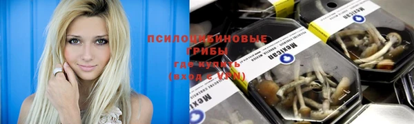ешки Армянск