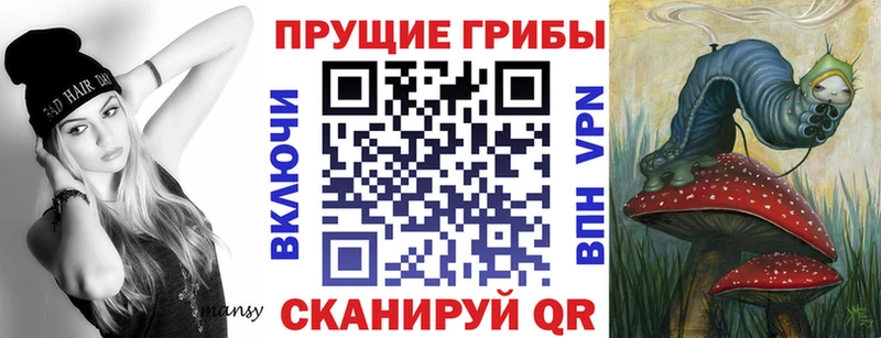 mega ссылки  купить   Покровск  Псилоцибиновые грибы прущие грибы 